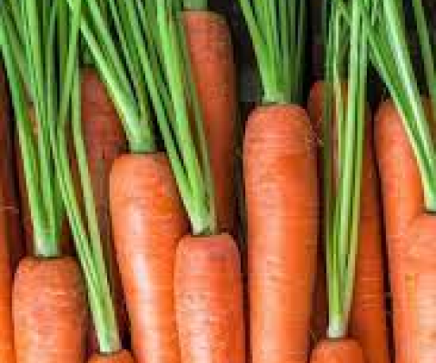 carrots